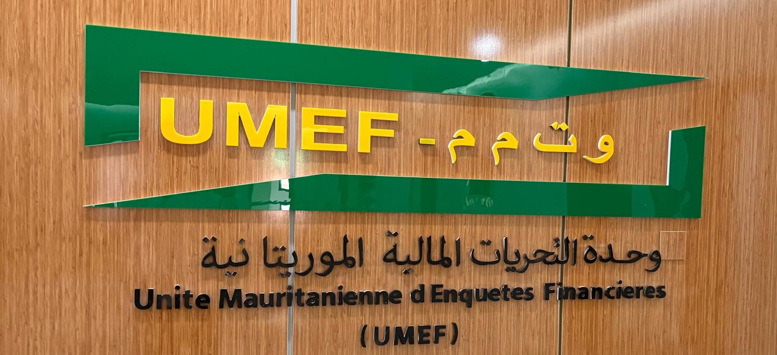 UMEF_logo